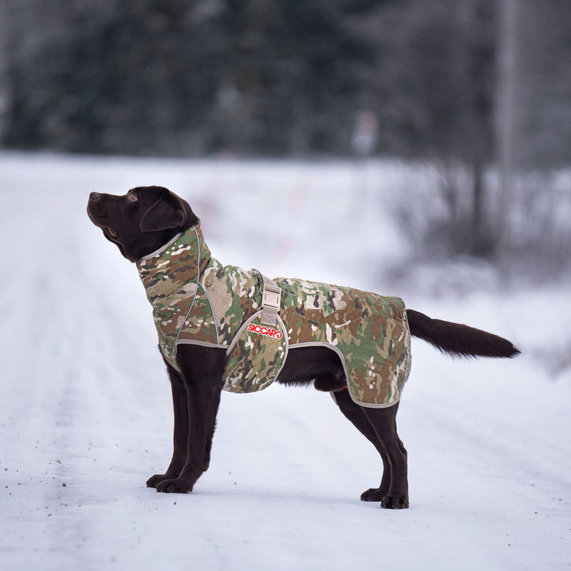 Spirit 55 Buy online with fast delivery Siccaro - Main Image