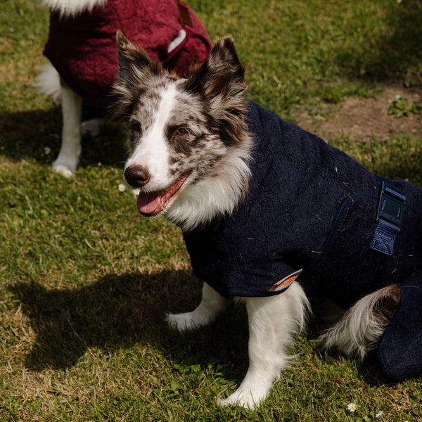 Siccaro Sport - XL Drying Coats
