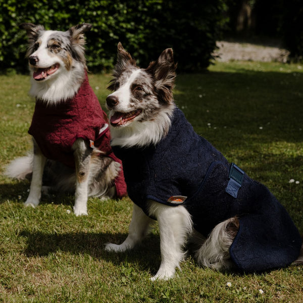Siccaro Sport - XXL Drying Coats