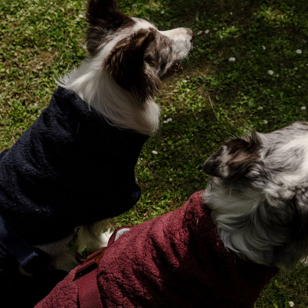 Siccaro Sport light / S Drying Coats