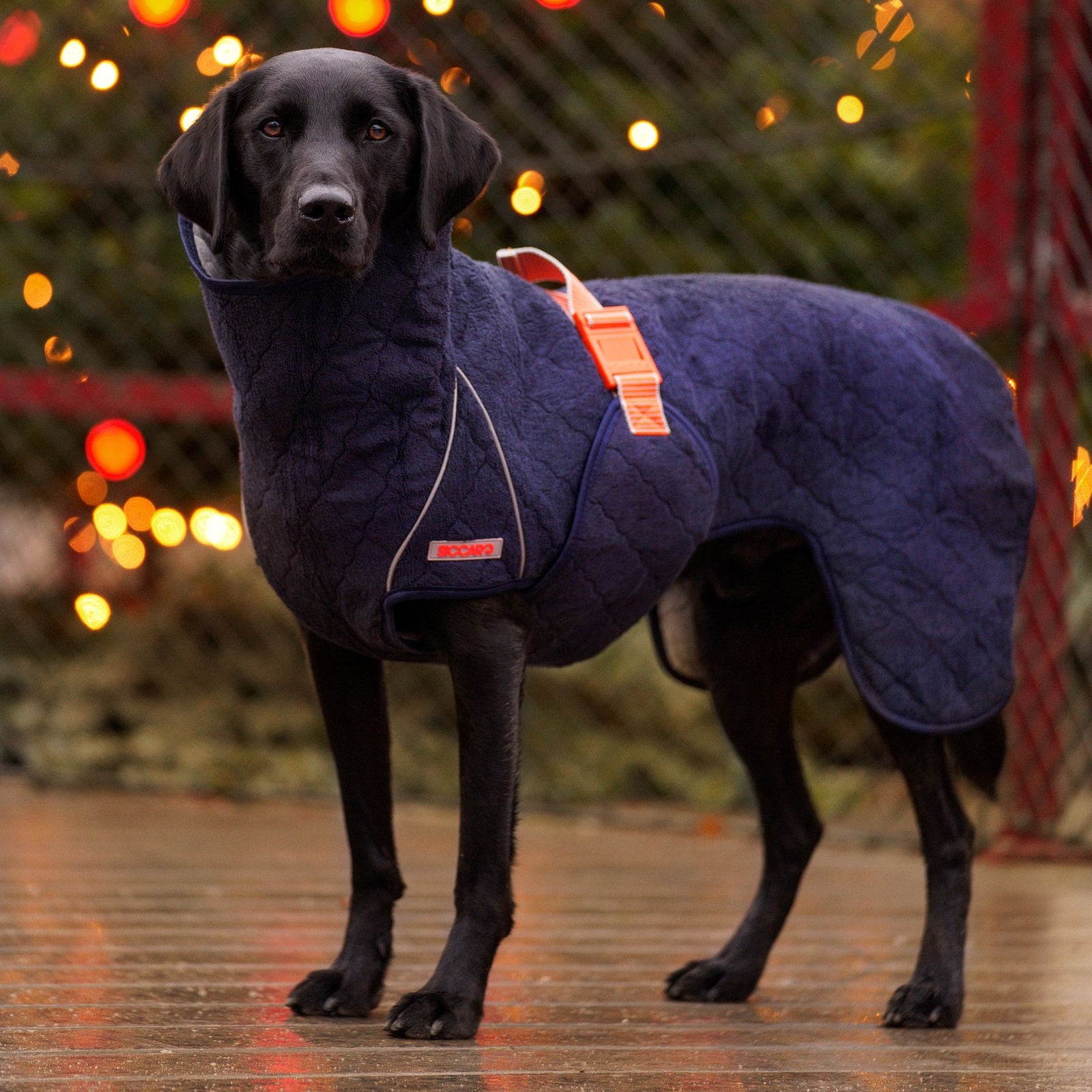 Supreme 2.0 / 60 | Buy online with fast delivery | Siccaro