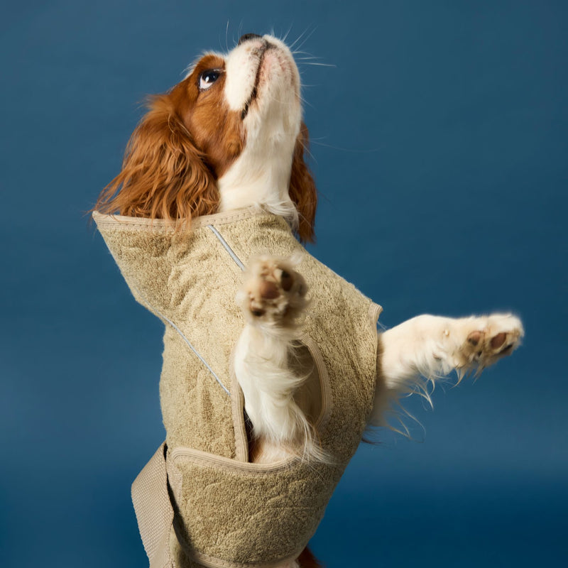 Siccaro Supreme 3.0 / 35 Drying Coats