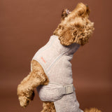 Siccaro Supreme 3.0 / 40 Drying Coats