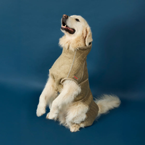 Siccaro Supreme 3.0 / 65 Drying Coats