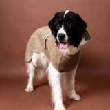 Siccaro Supreme 3.0 / 80 Drying Coats