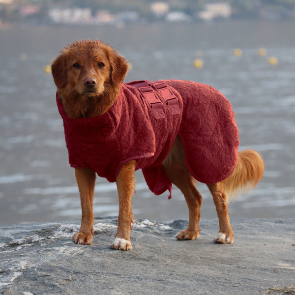 Dog Drying Rough And Tumble Drying Coat Drying Coat Dog Coat Red