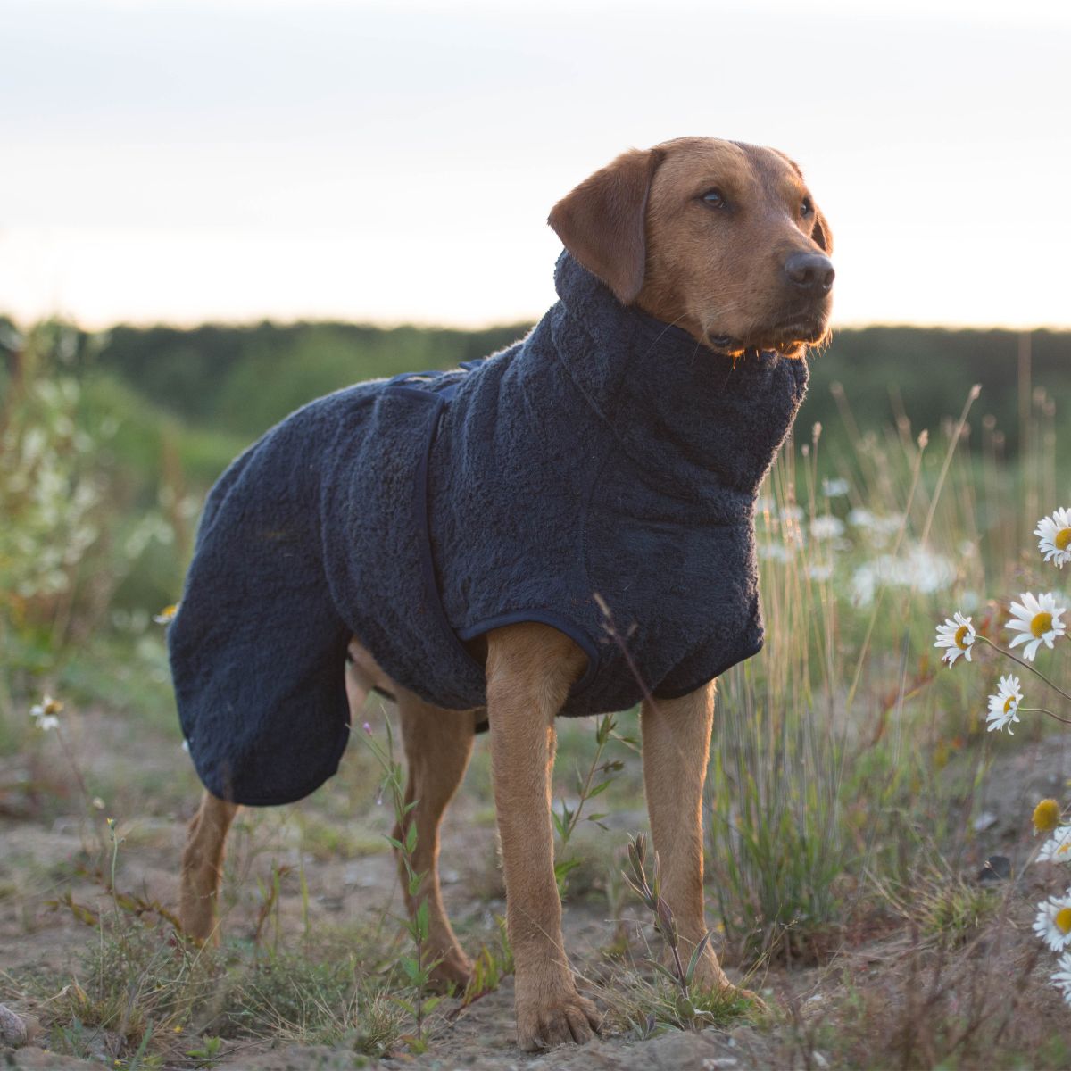 Siccaro Supreme Pro - Limited Edition / XL Drying Coats