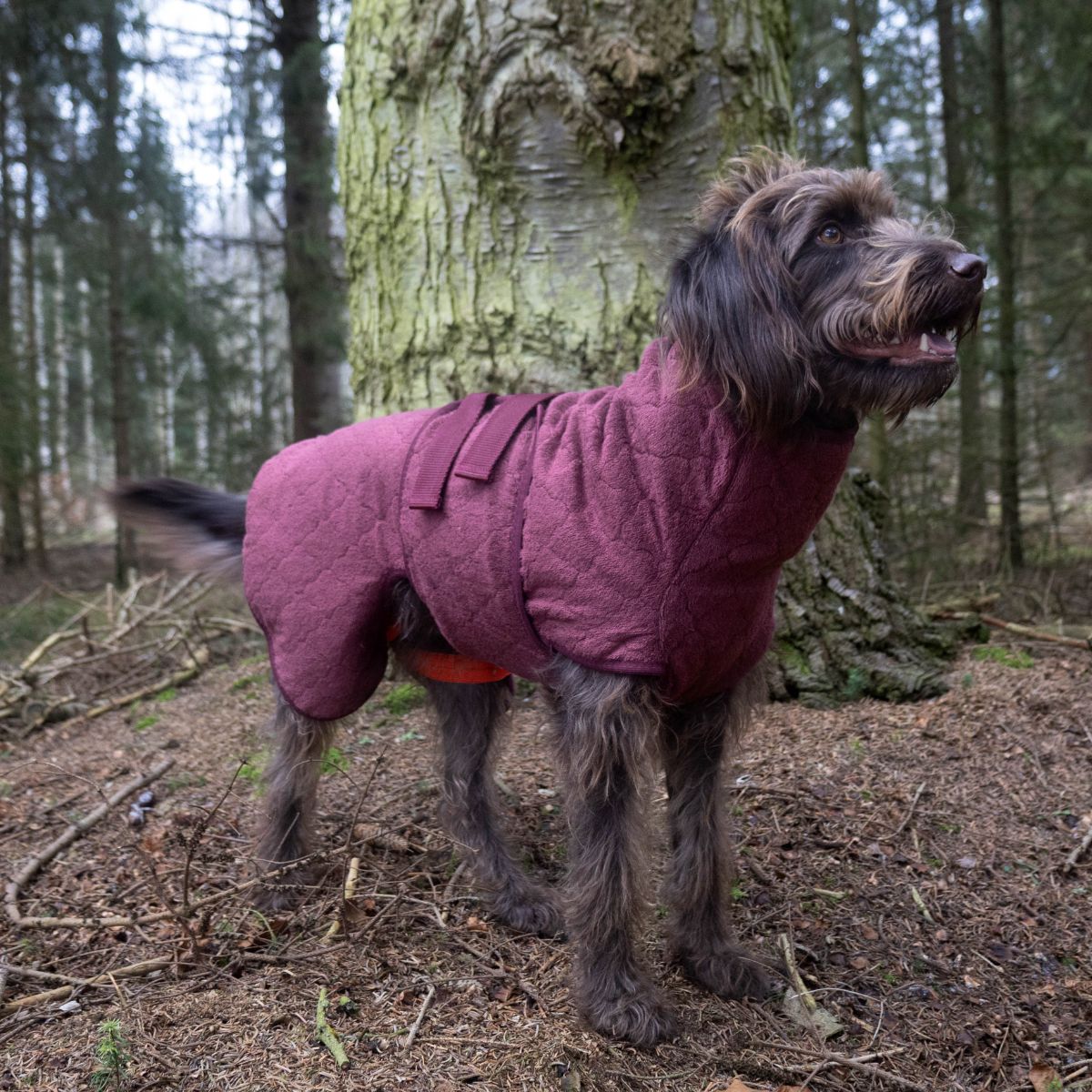 Supreme Pro Light / L