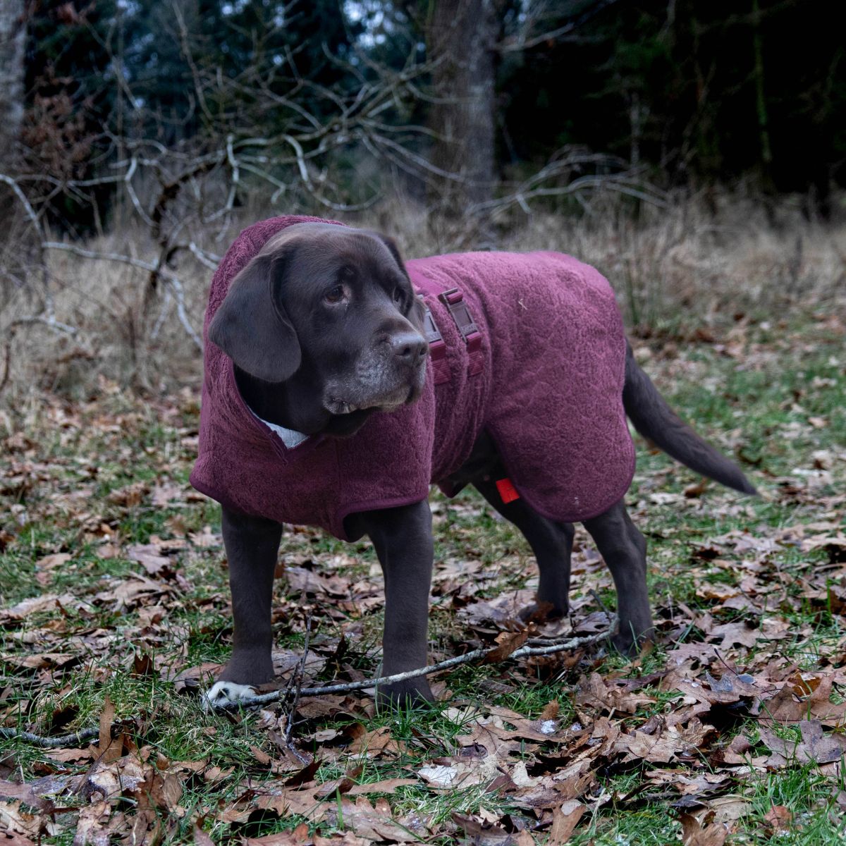 Supreme Pro Light / L+