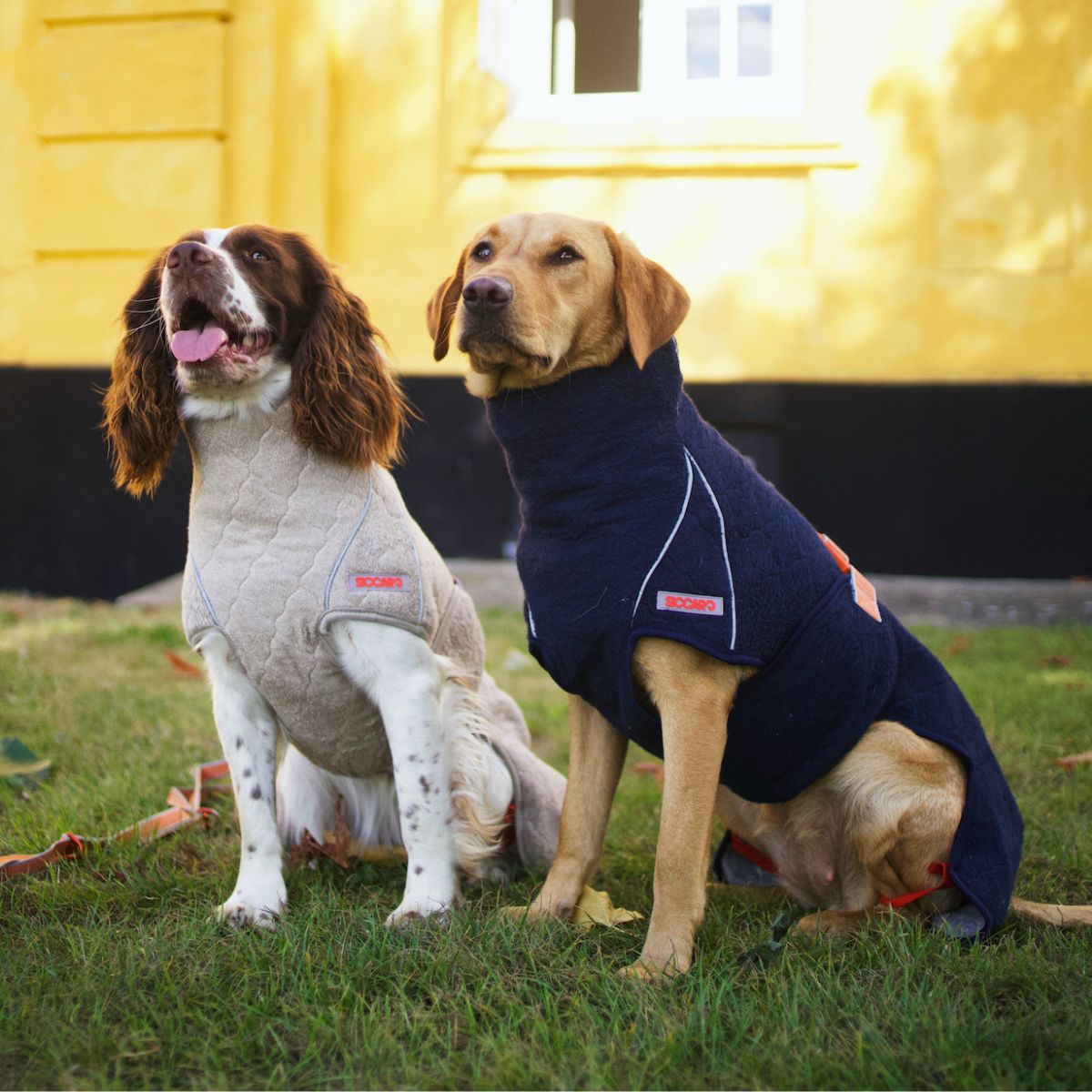 supreme2.0_tema_billede_1200x.