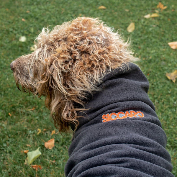 Coats and Hunting Vests for Dogs | Siccaro – Siccaro