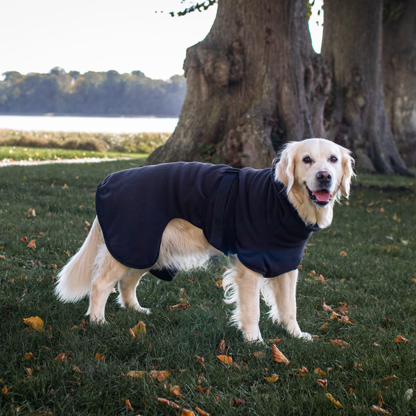 Dog coat 2025 for labrador