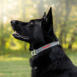 Siccaro Sealines dog collars / 100% recycled nylon Leashes and collars