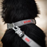 Siccaro Sealines dog collars / 100% recycled nylon Leashes and collars