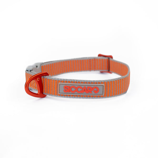 https://siccaro.com/cdn/shop/products/Sealines_dog_collars_100_recycled_nylon-Leashes_and_collars-S6011-Orange_Silver_600x.jpg?v=1695720833