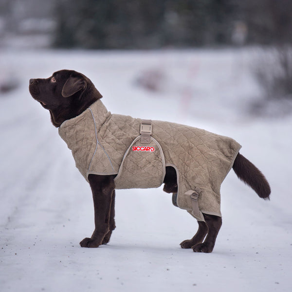 Siccaro dog sales drying robe