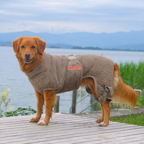 Siccaro Solution / 50 Drying Coats