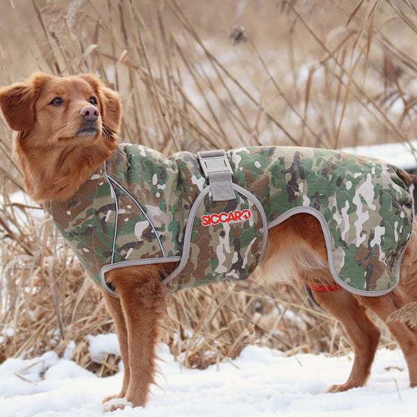 Siccaro dog shop robe