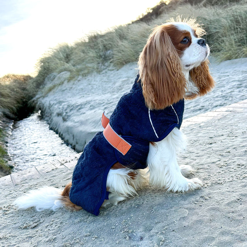 Spaniel Dog Coat Cavalier King Charles Spaniel Coat Supreme 35